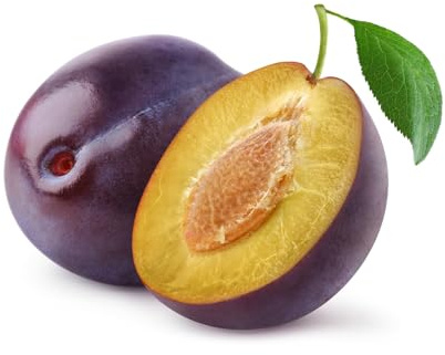 1 Pflaumenbaum Hauszwetsche im Topf 100cm Terrassenobst Obstbaum Pflaume Prunus domestica - aromatisch, süß & saftig – klassische Back- und Naschsorte