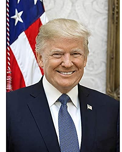 Artery8 Craighead Portrait US-Präsident Donald Trump Ungerahmter Druck 30x40 cm