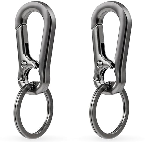 2 Pezzi Moschettone Portachiavi,Portachiavi Moschettone,Moschettoni Portachiavi,Moschettone Chiavi,Gancio Portachiavi,Mini Moschettone Portachiavi,Moschettone Piccolo Per Auto Chiave,Grigio-Nero