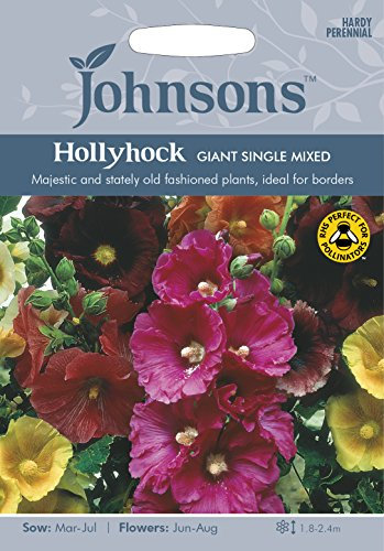 Johnsons 21540 Flower Seeds, Hollyhock Giant Single Mixed