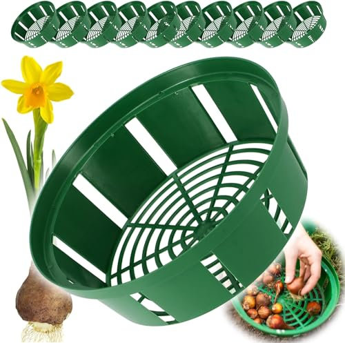 Bulb Baskets Daffodil Tulip Crocus Snowdrop Allium Easy Planter 20cm/23cm/26cm (20cm, 10)