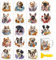 Peacoblue 18 Sheets Rub on Transfers for Crafts,18 Sheets 3.9 x 3.6 Inch Watercolor Decals Transfer Stickers Dog and Flowers Tropical for DIY Glass Cup
