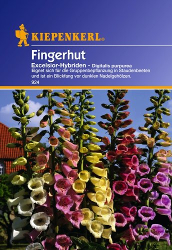 Sperli Blumensamen Fingerhut Excelsior-Hybriden, grün