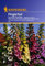 Sperli Blumensamen Fingerhut Excelsior-Hybriden, grün