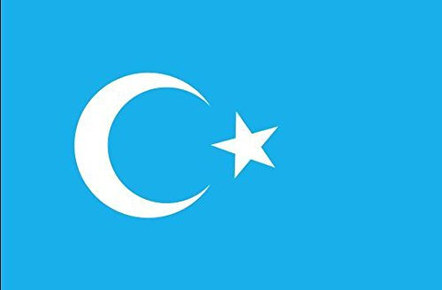 U24 Fahne Flagge Ostturkistan 90 x 150 cm