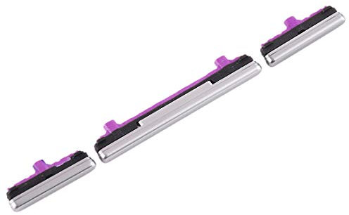 Set externe Seitentasten Einschalttaste Power On Off + Lautstärkeregler side keys kompatibel mit Samsung Galaxy S10 / Galaxy S10+ / G973 G973F G975 G975F (Silber/Silber)