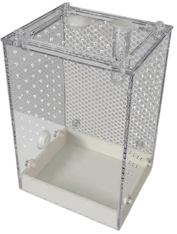 Terrarium für Phidippus – Zuchtlebensraum für Grillen, transparent, abnehmbarer Lebensraum für Skorpionmäntel, Ameisenmäntel, im Innen- und Außenbereich, Haus, Klassenzimmer