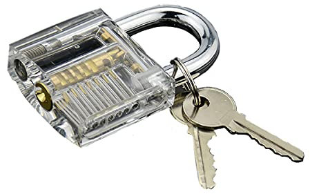 Candado de acero inoxidable transparente con diseño de flor de ciruelo, candado con 2 llaves, cerradura de entrenamiento profesional con vista recortada, candado de práctica interna, cerradura