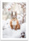 ARTFAVES® Poster - Eichhörnchen im Schnee | Wanddeko Wandbild Fotografie Winter | ohne Rahmen | 21 x 30 cm