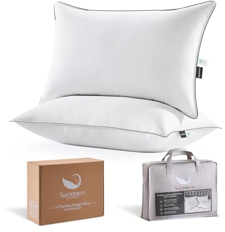 Swandream Goose Feather and Down King Pillows 2 Pack, Luxury 3-Chamber Pillows with Soft & Down-Proof Cover, Fluffy Plush Hotel Collection Bed Pillows for Side, Back & Stomach Sleepers