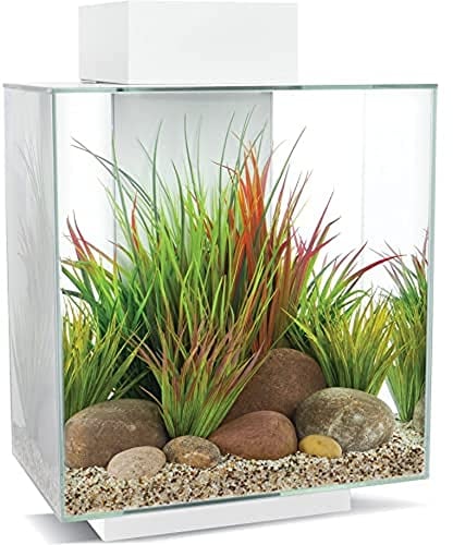 Fluval Edge 2.0 Aquarium, 46L, weiß, 1 Stück (1er Pack)