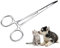 Smandy Oreja de Mascotas Fórceps de Bloqueo Oreja de Perro Extractor de Cabello Peluquería de Mascotas Tijera Peluquería de Perro Pinzas de sujeción, Cuidado de Animales Fuerte y Fuerte(L)