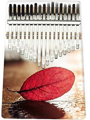 Kalimba 17 Tasten Kalimba Daumenklavier Acryl Musikinstrumente (Color : D)