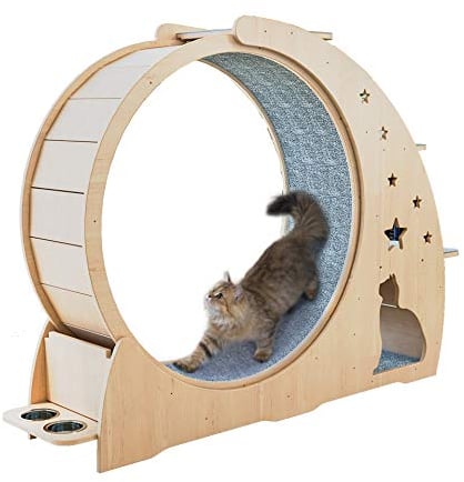 Kratzbrett für Katzen, Laufrad, Katzenbaum, Haus, Laufkatze, Laufen mit drehbarem Spielzeug, Katze, Indoor-Aktivitätszentrum