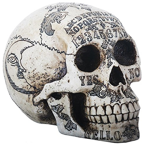 SUMMIT COLLECTION Paranormal Skull Head with Ouija Symbols Collectible Figurine