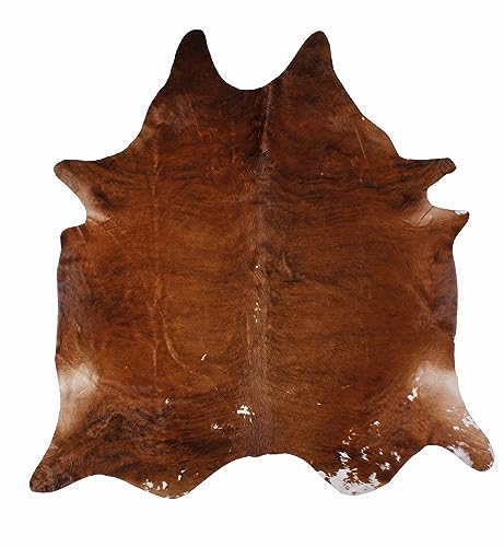 -LUXOR- living Rinderfell Kuhfell Teppich echt - natürlicher Teppich für naturgetreue Wohnatmospähre - Teppich Fell - ca. 130 x 190 cm braun Uni