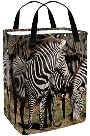 Afrika Wäschekorb, Wildtier, Zebra, groß, wasserdicht, freistehend, für Kleidung im Wohnheim und in der Familie