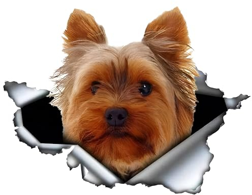 Autoaufkleber Yorkshire Terrier Aufkleber 15cm(5.9 Inch) Yorkshire Terrier 3D Zerrissen Reflektierende Autoaufkleber Wasserdichte Haustier Hund Aufkleber Laptop Stoßstange Heckscheibe Dekor