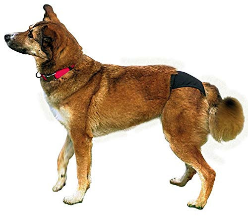 TRIXIE Schutzhöschen schwarz Größe 0 für Hunde