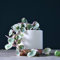 String of Hearts Variegated Plant for Indoor House Office Plants Rosary Vine Ceropegia woodii variegata Trailing Hanging Foliage 8cm Pot + Decorative White & Rose Gold Pot by Thompson and Morgan