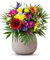 Flora Trans Blumenstrauss - Blumenversand mit Grußkarte - Frischblumen vom Floristen - Blumen bester Qualität - Blumengeschenk Regenbogen