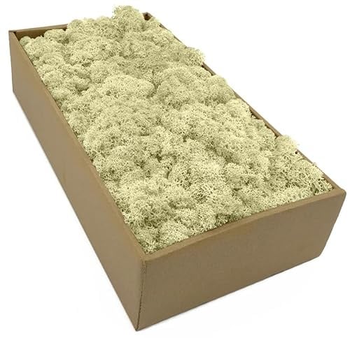 Islandmoos - Moos in 5 versch. Farben 250gr / 500 gr / 1Kg echtes konserviertes Natur Moos zum Moosbild basteln Deko und Modellbau (Naturweiß, 250 gr)