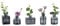 Glasseam Kleine Vase Glas für Home: 5 Stück Vasen Klein Lovely Vase Grau für Hochzeit Party Tisch Deko Küche Wohnzimmer Office Regal