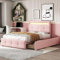 Dolamaní Modern Jugendbett 90x200 cm Polsterbett mit Bettkasten, Bett mit Lattenrost & Stauraum, Polster Kopfteil mit Ablagefach, Leinenpolsterung, Kinderbett für Jungen & Mädchen (Rosa B)