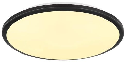 Ceiling Light Living Room Light Round Black LED Metal Plastic 1x LED Warm White Diameter 35 x 5.5 cm