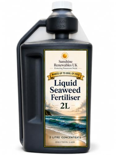 Seaweed Fertiliser Liquid 2L – Ultra concentrated 1:400 - Organic Plant Feed & Natural Growth Booster for Vegetables, Flowers, Lawns & All Plants