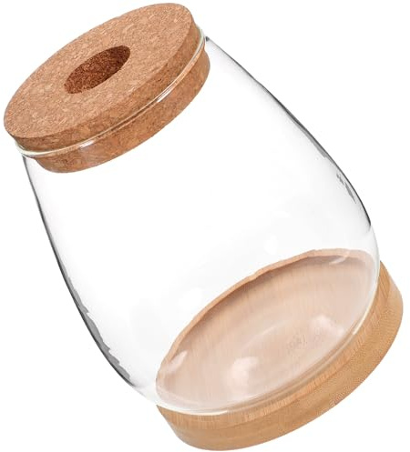 Vaso in Vetro per Piante, Set 1 Supporto in Bambù e Fiori | Decorazione Interna, per Piante e Fiori, Naturale, , Trasparente, Semplice, Creativo