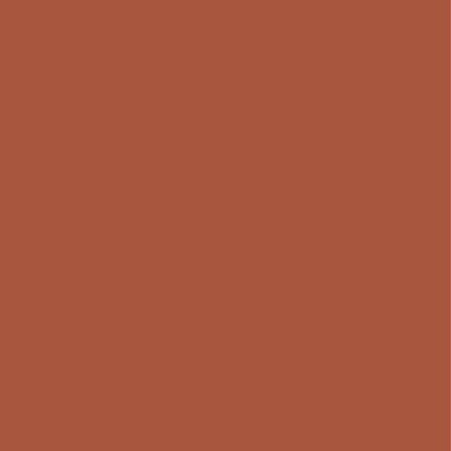 Prym 903824 Schrägband Duchesse, 40/20 mm, 3,5 m, nougat