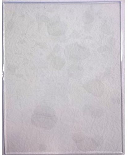 John Lockwood Gel Plate - Large Rectangle Gel Plate 15.2 x 20 cm