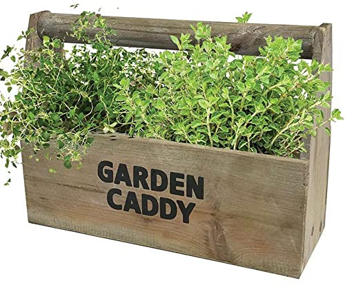 Grow Your Own Herb Kitchen Windowsill Garden Caddy Gift Set Seed Kit Thyme and Oregano Indoor Plant | Plant Theory