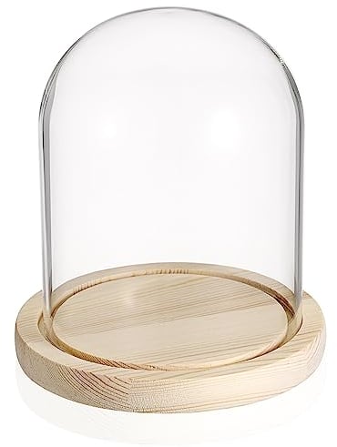 SUMNACON Glass Display Cloche Dome with Wooden Base, Decorative Clear Display Bell Jar Glass Cover Dome Cloche Showcase for Plant, Collection, Toy, Crystal
