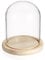 SUMNACON Glass Display Cloche Dome with Wooden Base, Decorative Clear Display Bell Jar Glass Cover Dome Cloche Showcase for Plant, Collection, Toy, Crystal