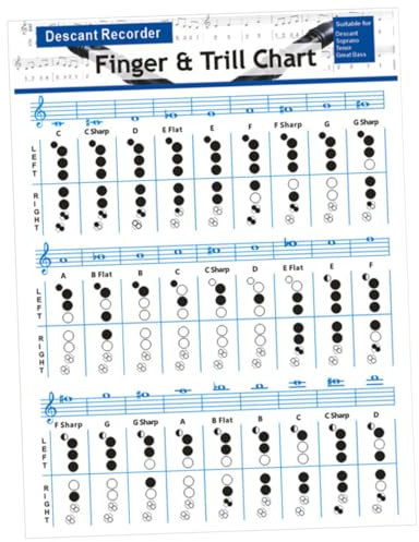 ifundom Bassklarinetten Akkorddiagramm Aus Beschichtetem Papier 8-loch Flöten Akkordtabelle Für Anfänger Tragbares Flöten Übungszubehör Verschleißfest Und Langlebig Klarinetten Fingerlehrplan