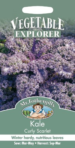 Mr. Fothergill's Kale Curly Scarlet Seeds