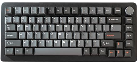 DrunkDeer A75 Pro Magnetschalter-Tastatur, schneller Auslöser, mechanische Gaming-Tastatur, verstellbare Betätigung, Hall-Schalter, RGB-PBT-Tastenkappe, kompakt, TKL, 82 Tasten, kabelgebunden, USB,