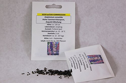 Sommerrittersporn, hoch, Exquisit-Mischung