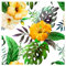 murando Vlies Tapete Tropische Blätter Monstera - Deko Panel Fototapete Wanddeko 10 m Tapetenrolle Mustertapete Wandtapete modern design Dekoration - Blumen Pflanzenmotiv b-B-0291-j-c
