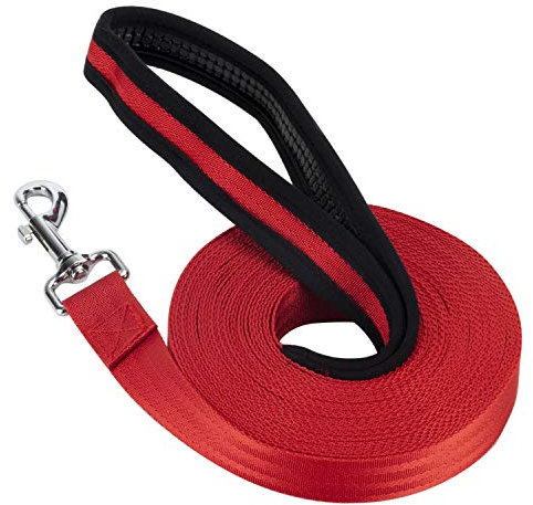 Vivifying Dog Training Lead - 32FT/10M Nylon Training Leash for Pet Tracking & Obedience (Red)