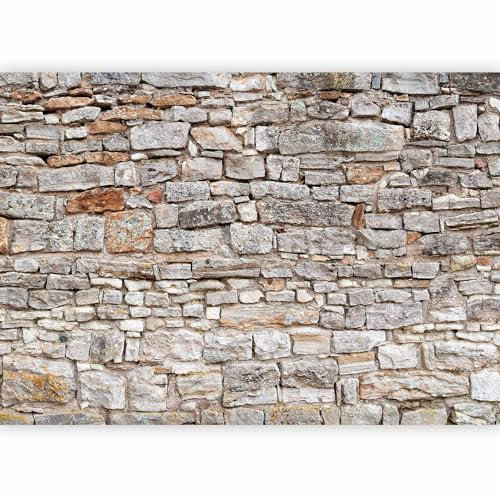 murando PREMIUM Papier peint Pierre 300x210 cm Décoration Murale XXL Poster Tableaux Muraux Tapisserie Photo Trompe l'oeil Brique 3D f-B-0293-a-a