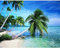 UDERUI 5D DIY Diamond Painting Kits for Adults/Kids, Rund Bohrer Seaside-Coconut-Tree 50x80cm Diamond Art Full Drill Crystal Rhinestone Embroidery Cross Stitch Canvas Art Craft for Wall Decor
