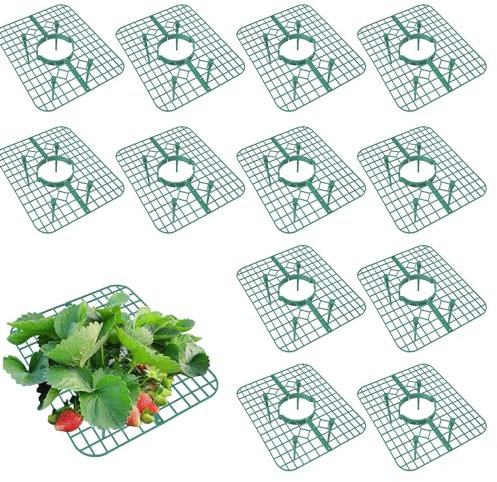 Les-Theresa Lot de 12 Support pour Fraisier Grimpant, Support Fraisier Hauteur pour Serre et Plantes en Pot, Support Fraisier Sol pour Garder Les Fruits Et éViter La Pourriture du Sol