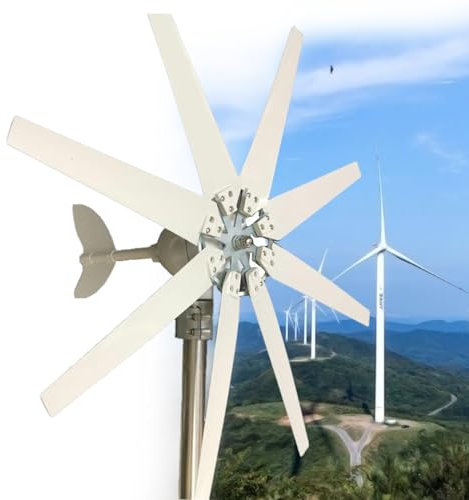Generador de Turbina Eólica 12V/24V/48V 12000W Aerogenerador Horizontal 8 Cuchillas Velocidad Nominal 13m/s, Kit Resistente y Durable con Controlador de Carga MPPT para Hogar, Chalets,48V
