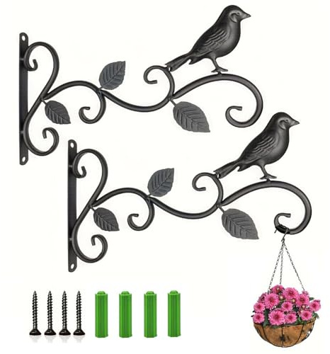 Lot de 2 supports pour plantes suspendues avec crochet mural, crochets muraux pour plante supports muraux de jardin en fer forgé pour oiseaux, cintre de jardin extérieur avec vis de balcon lanterne