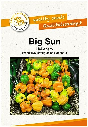 Paprikasamen Big Sun Habanero Chili- Peperonisamen Portion