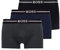 BOSS Trunk 3P Organic CO