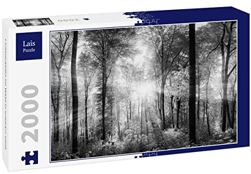 Lais Puzzle Lichtstrahlen im Wald in schwarz weiß 2000 Teile